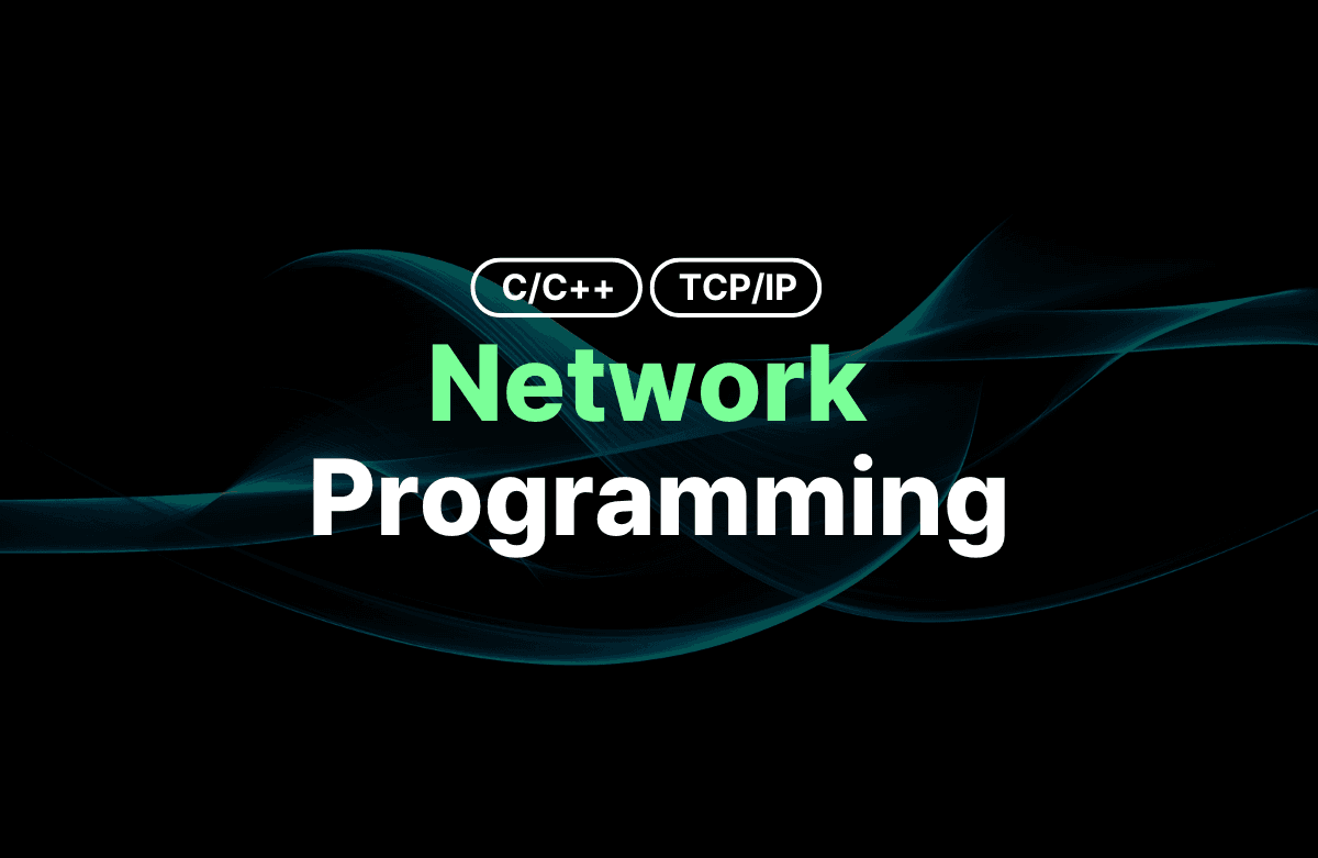 이해하면 인생이 바뀌는 네트워크 프로그래밍| 널널한 개발자 - 인프런 강의